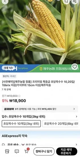 제주농협 초당옥수수 특상품 외 다양 10개입 (15cm 이상) 10개
