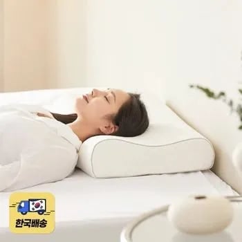 메모리폼 베개 냉감 바디필로우 베네베딩 가격 정보 제외
