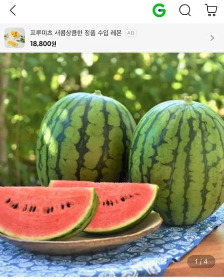 고당도 하우스 수박 6-7kg 내외 (12,920원/무료)