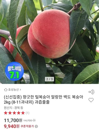 털복숭아 백도 복숭아 2kg