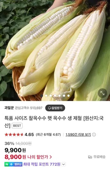 햇 미백 찰옥수수 특품사이즈 (14cm이상) 10개입 (8,900원/무료)