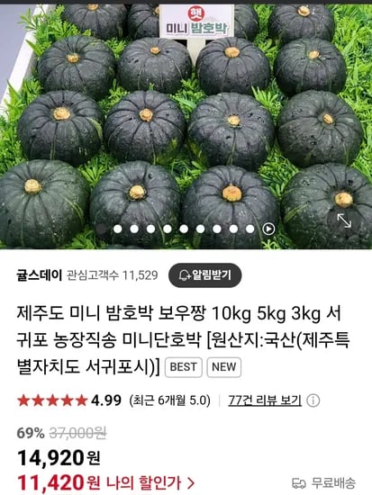 제주도 미니 밤호박 보우짱 3kg