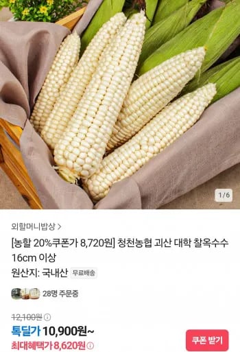 국내산 청천농협 대학찰옥수수 16센치이상 10개