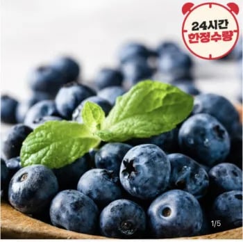 미국/칠레 생 블루베리 625G (125Gx5팩)