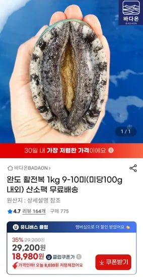 완도 활전복 1kg 9-10미