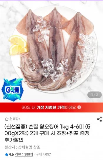 손질 왕 오징어 1kg