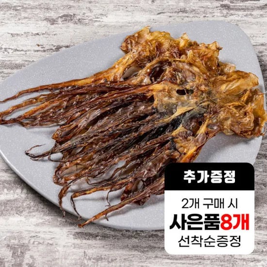 오징어다리 망족 10+1마리