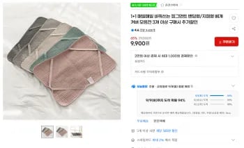 피그먼트 밴딩형/지퍼형 베개커버 1+1
