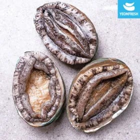 완도 활전복 1kg