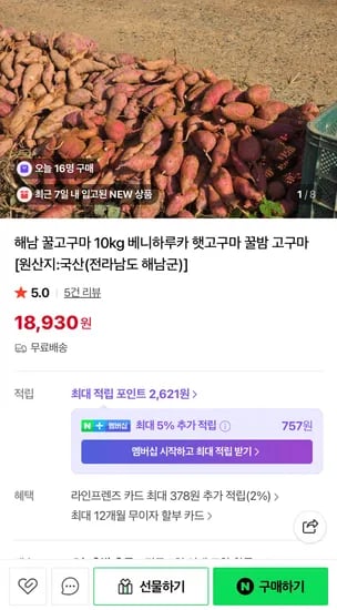 해남 꿀고구마 10kg