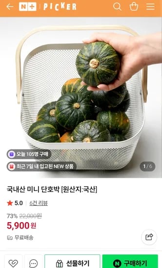 제주 보우짱 미니 단호박 4kg