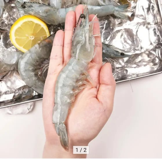 국내산 흰다리새우 1kg 27미