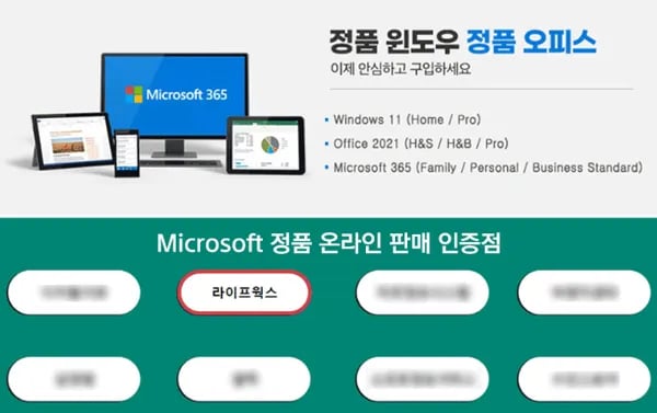 MS 윈도우 11 Home FPP