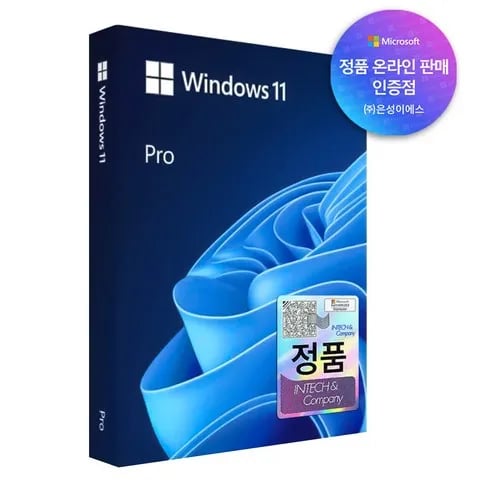 마이크로소프트 Windows 11 Pro FPP 한글