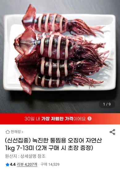 녹진한 통찜용 오징어 1kg