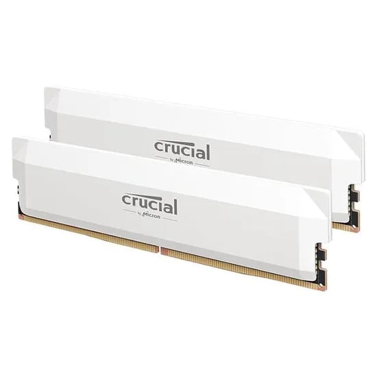 크루셜 프로 DDR5 RAM 32GB 키트 (2x16GB) CL36 6000MHz 화이트