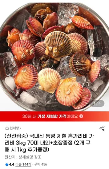 국내산 통영 제철 홍가리비 3kg