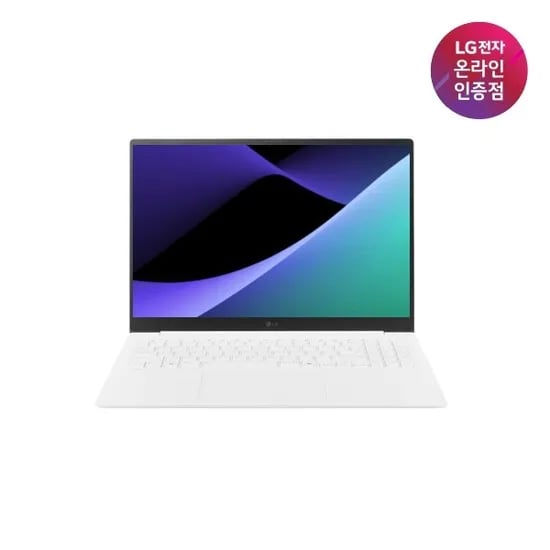 LG 그램 16ZD90TL-GX56K 16GB 256GB