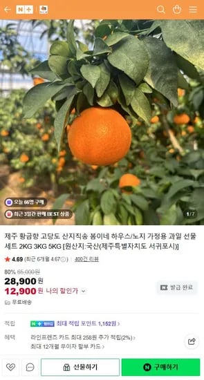 제주 고당도 황금향 3kg