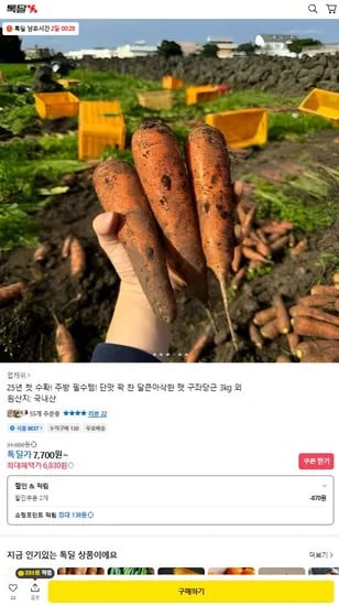 제주 햇 구좌당근 3kg