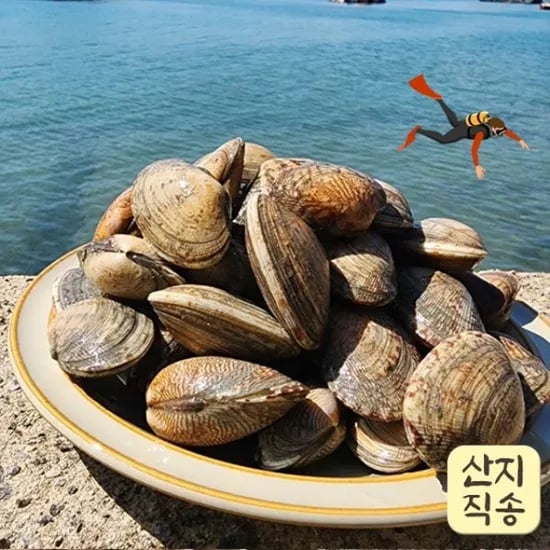 왕바지락 1kg 1+1