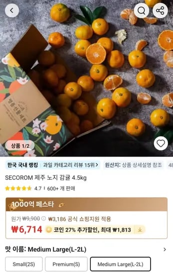제주 노지 감귤 4.5kg