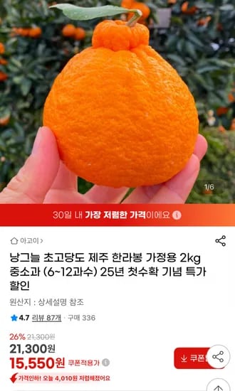낭그늘 한라봉 가정용 2kg