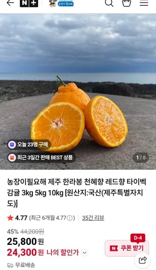 제주 한라봉 중대과 2kg