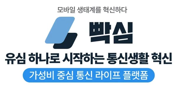 KT 알뜰폰 1월 한정 12GB+100mpbs 6개월간 월 50GB