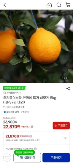 한라봉 18-37과 내외