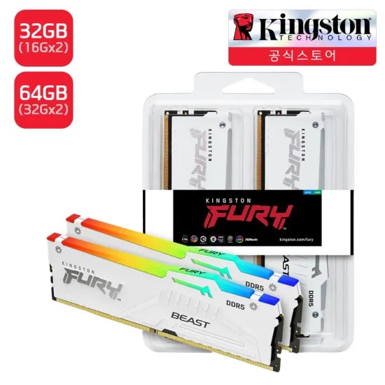 킹스톤 FURY DDR5-6000 CL30 Beast RGB 32GB
