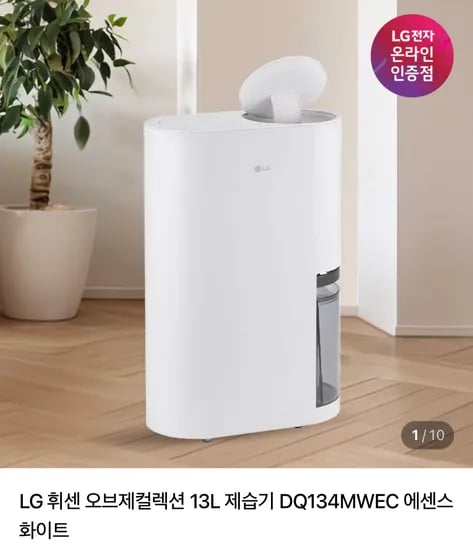 LG 휘센 오브제 제습기 DQ134MWEC 13L