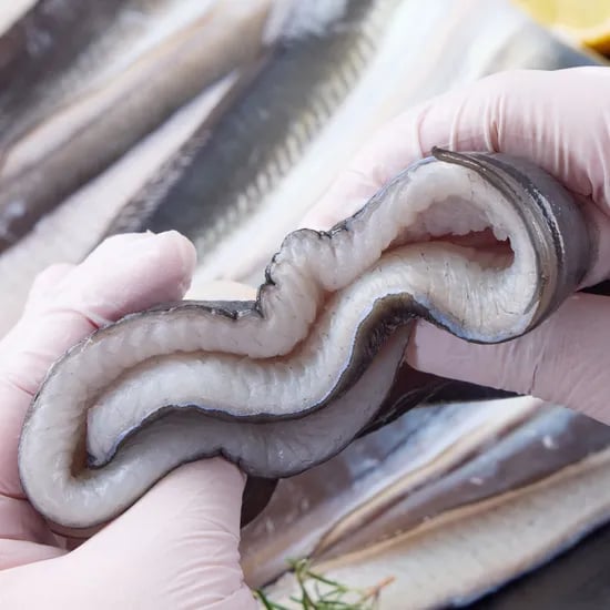 자포니카 민물장어 1kg