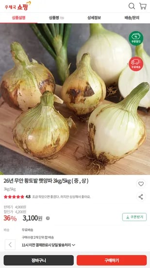 무안 황토밭 햇양파 3kg