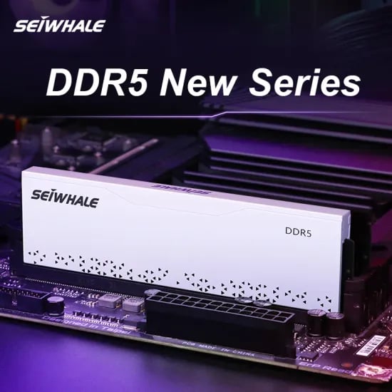 세이화레 DDR5 램 16GB 4800MHz 화이트