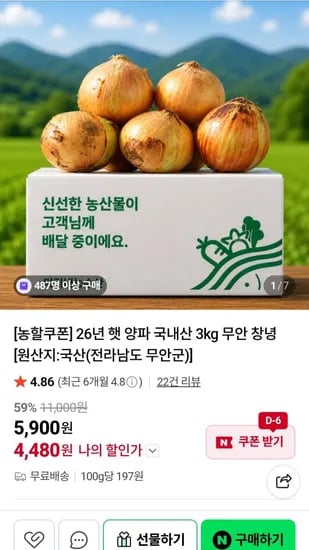 26년 햇 양파 5kg