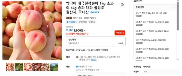 대극천복숭아 1kg
