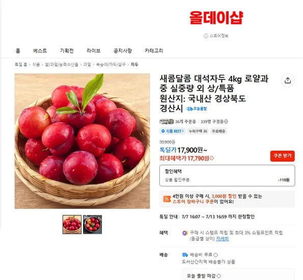 새콤달콤 대석자두 4kg (17,790원/무배)