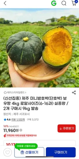제주 미니밤호박 보우짱 4kg (11,960원 / 무배)