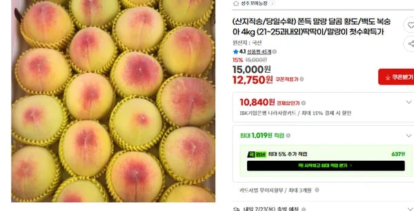 쫀득 말랑 달콤 황도,백도4kg (21~25과내외)(12,750/무배)