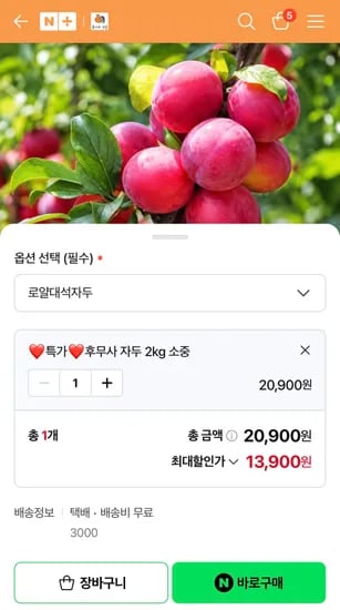 후무사 자두 2KG 중소과