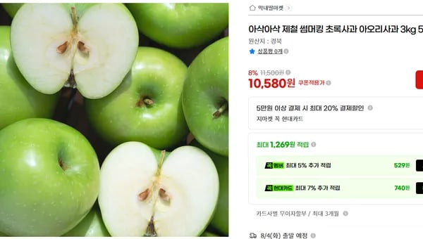 아삭아삭 제철 썸머킹 초록사과 아오리사과 3kg(10.580/무베)