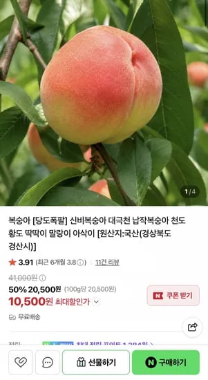 산지직송 대월 딱딱이 말랑이 복숭아 4KG 소과