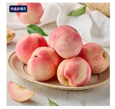 경북 차돌복숭아 3kg 대과 11-12과 외 4kg (14,750/무배)