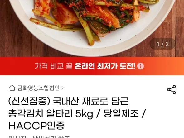 총각김치 알타리 5kg
