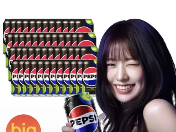 펩시 제로라임 355ml 48캔