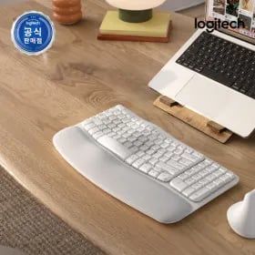 로지텍 코리아 WAVE KEYS 맥용 무선 키보드 (41,980원)