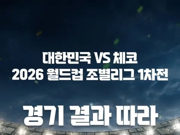 대한민국vs체코 경기 결과에 따른 차등 할인 상품: 대한민국vs체코 경기 결과에 따라 다양한 할인 적용 가능, 총 10개, 빨강색 5개, 파란색 5개, 10kg