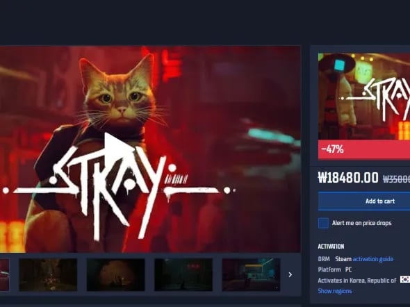 Stray 할인