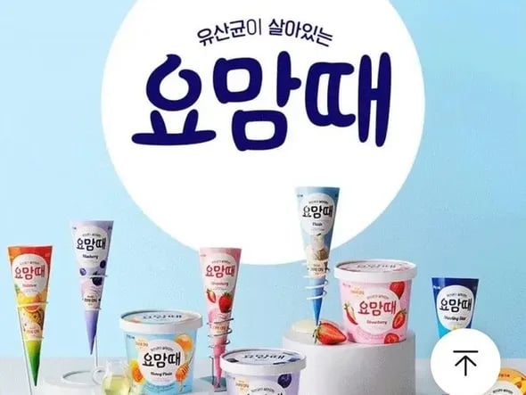 투게더 요맘때홈컵 8개 세트